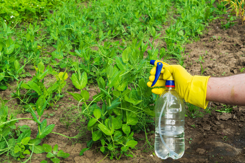 Organic and Biological Pesticides